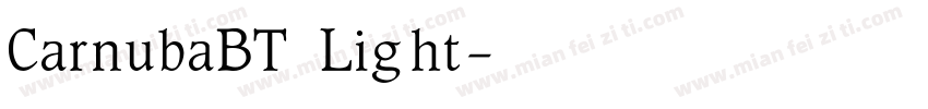 CarnubaBT Light字体转换